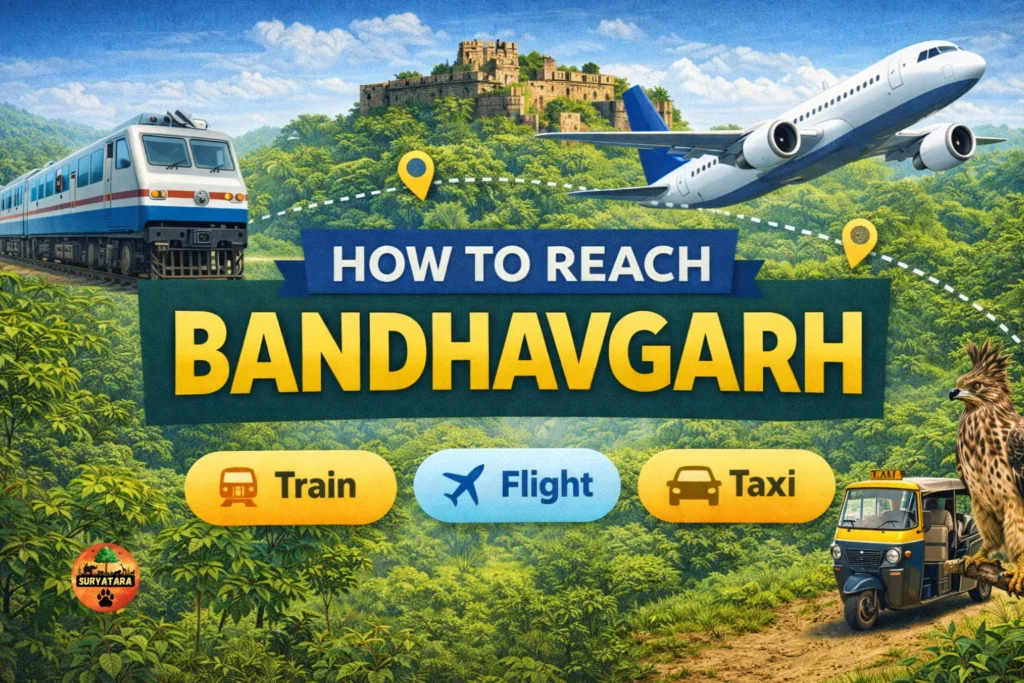 How To Reach Bandhavgarh