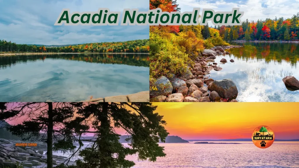 Acadia National Park