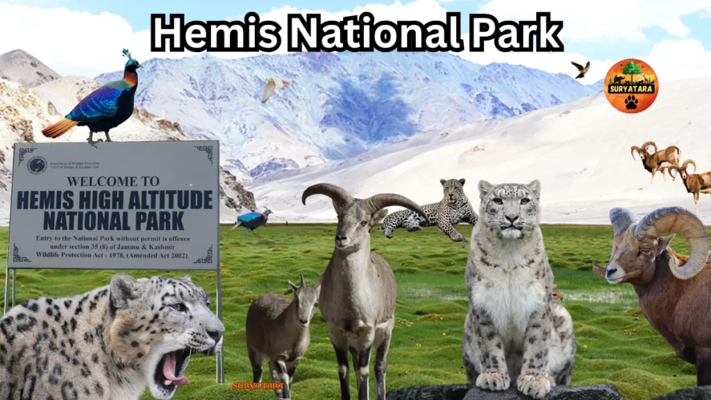 Hemis National Park