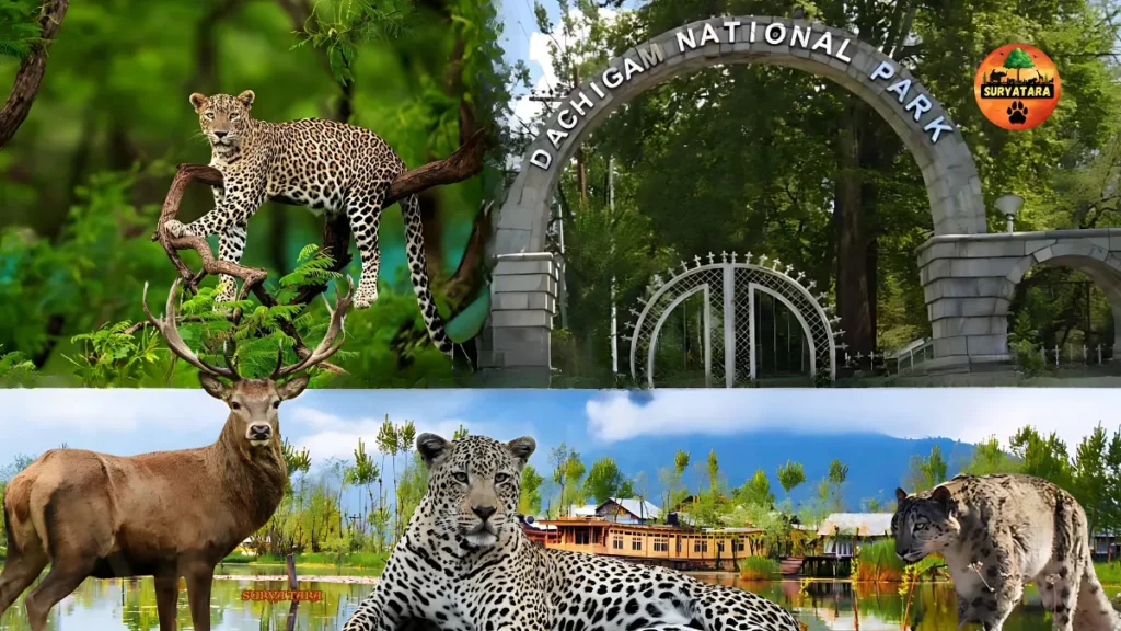 Dachigam National Park