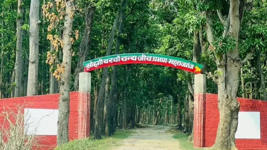 Purvanchal's first jungle safari