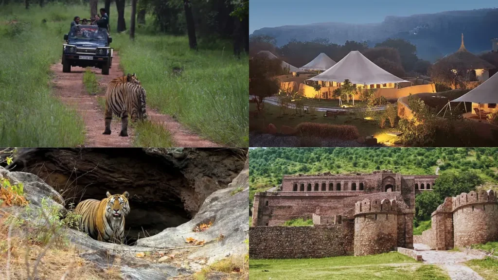 Bandhavgadh Tiger Reserv