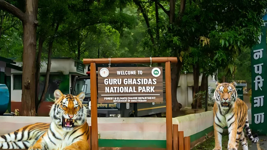 Guru Ghasidas Tamor Pingla Tiger Reserve