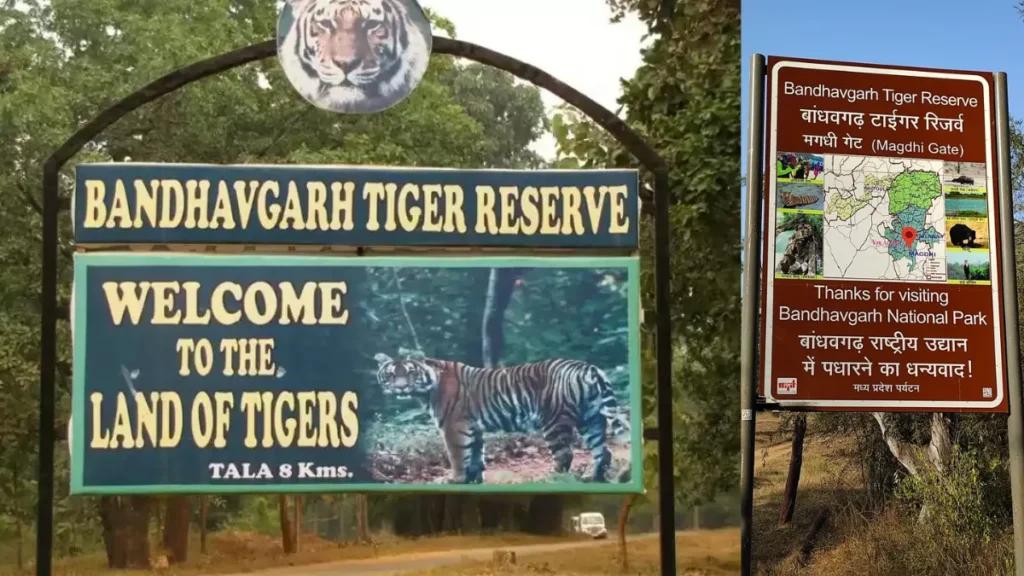 Bandhavgarh Tiger Reserve
