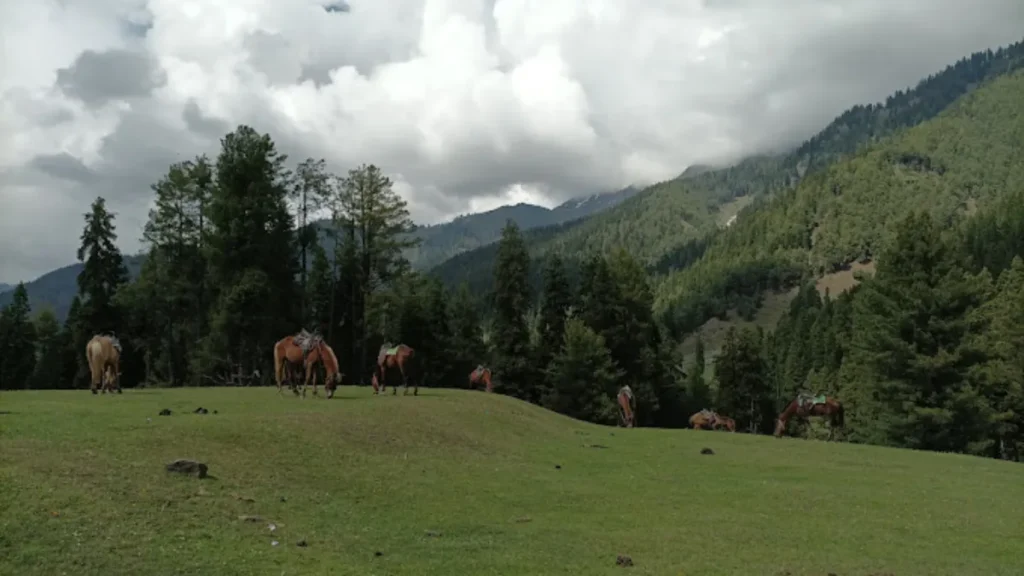 Deno Valley Travel Guide