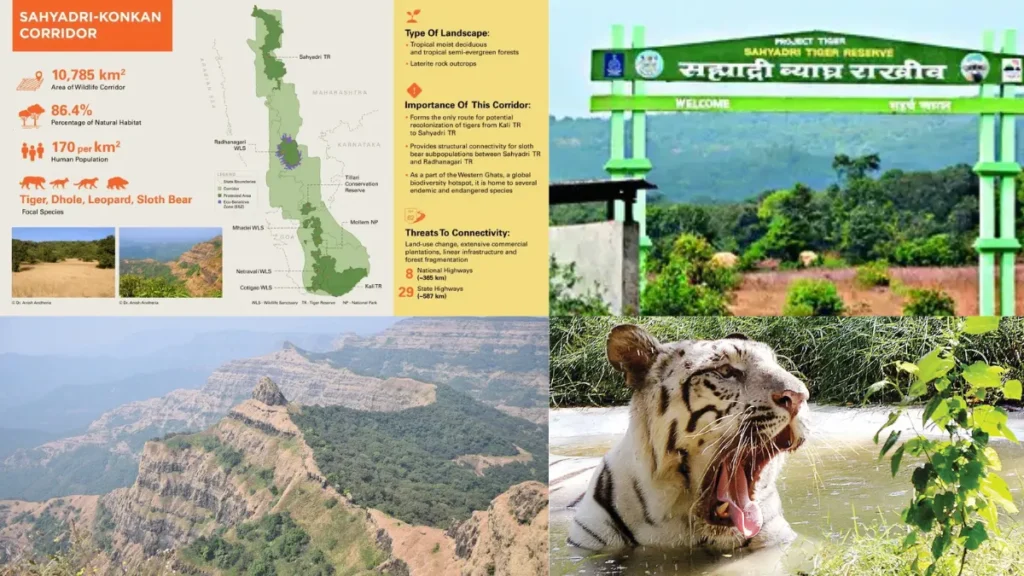 Sahyadri Tiger Reserve