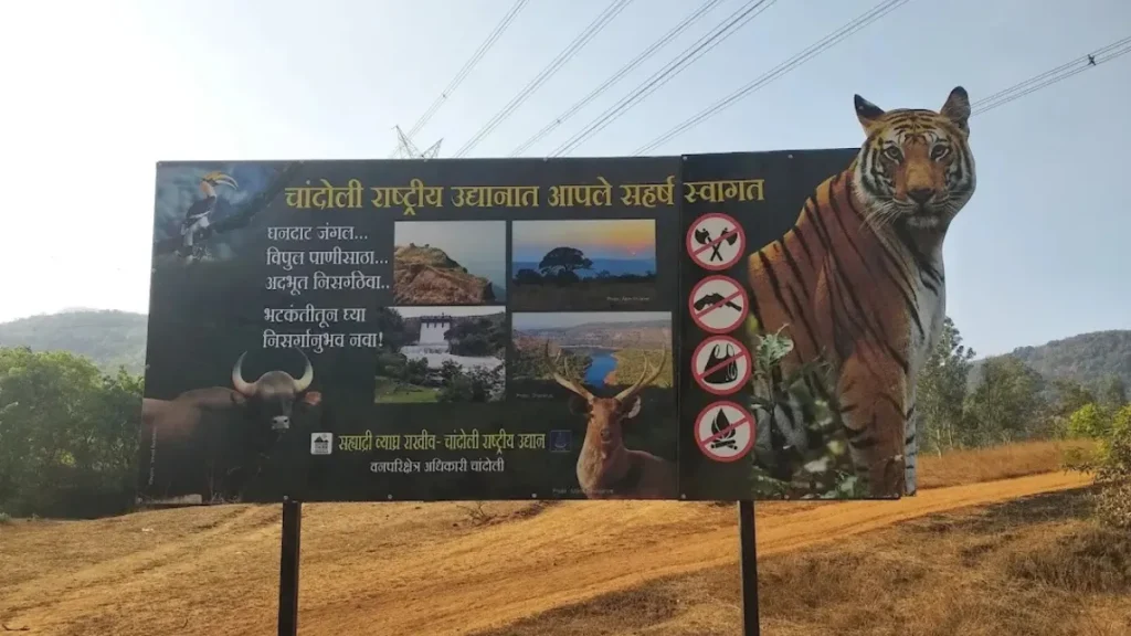 Chandoli National Park