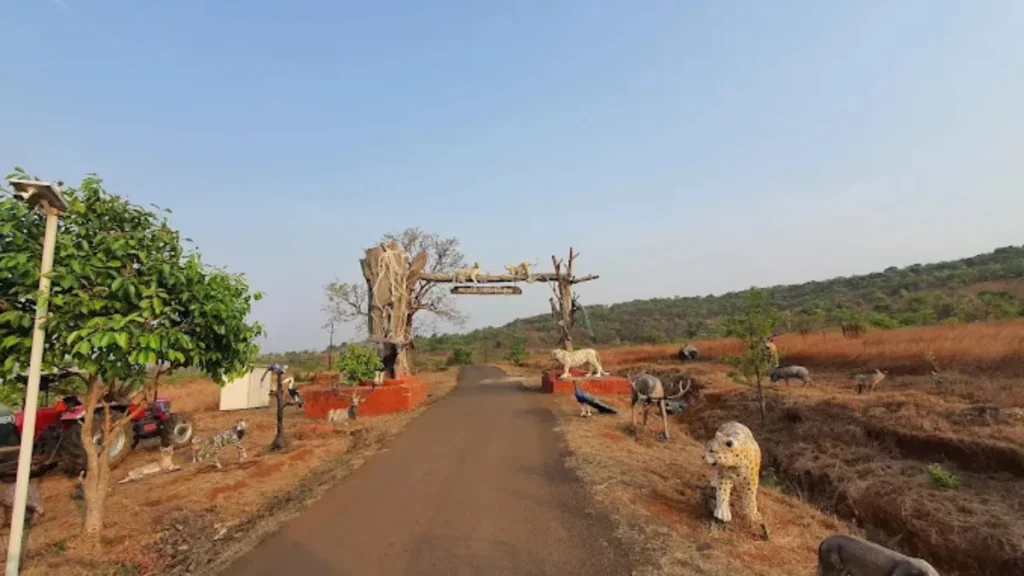 Chandoli National Park Safari