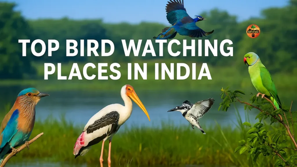 Best birding sites India