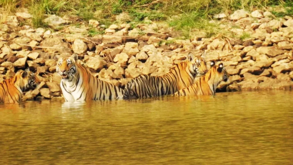 Suryatara Wildlife Sanctuary