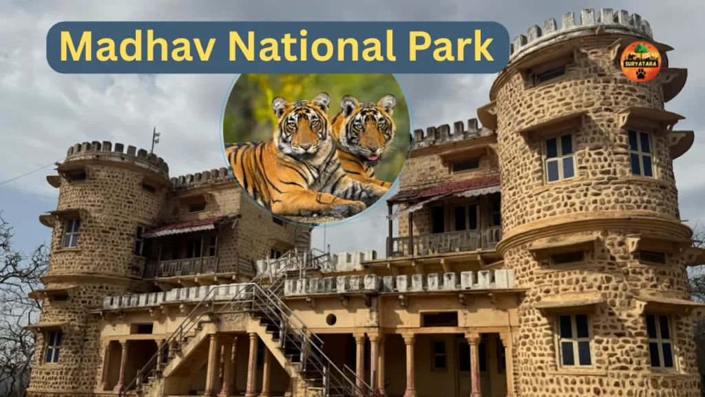 Madhav National Park