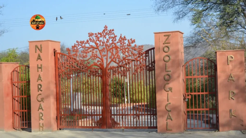 Nahargarh biological park