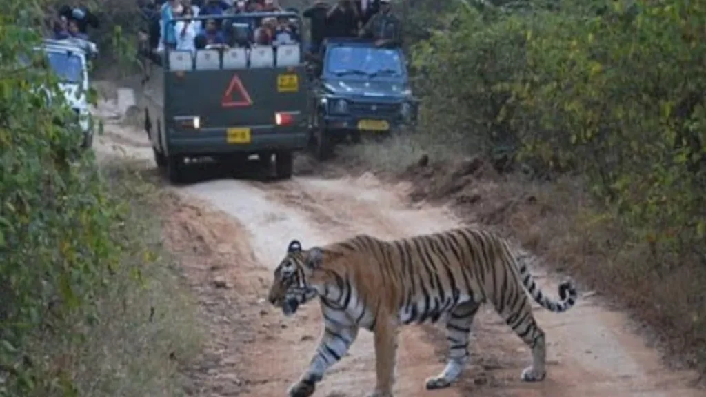 Nahargarh Biological Park