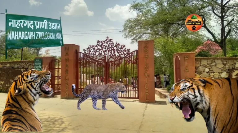 Nahargarh Biological Park