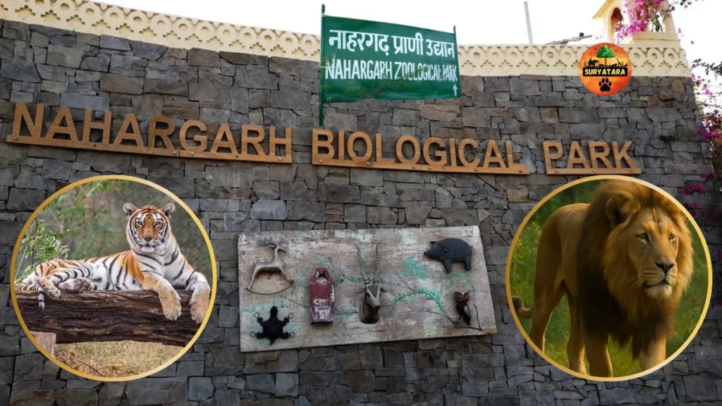 Nahargarh Biological Park