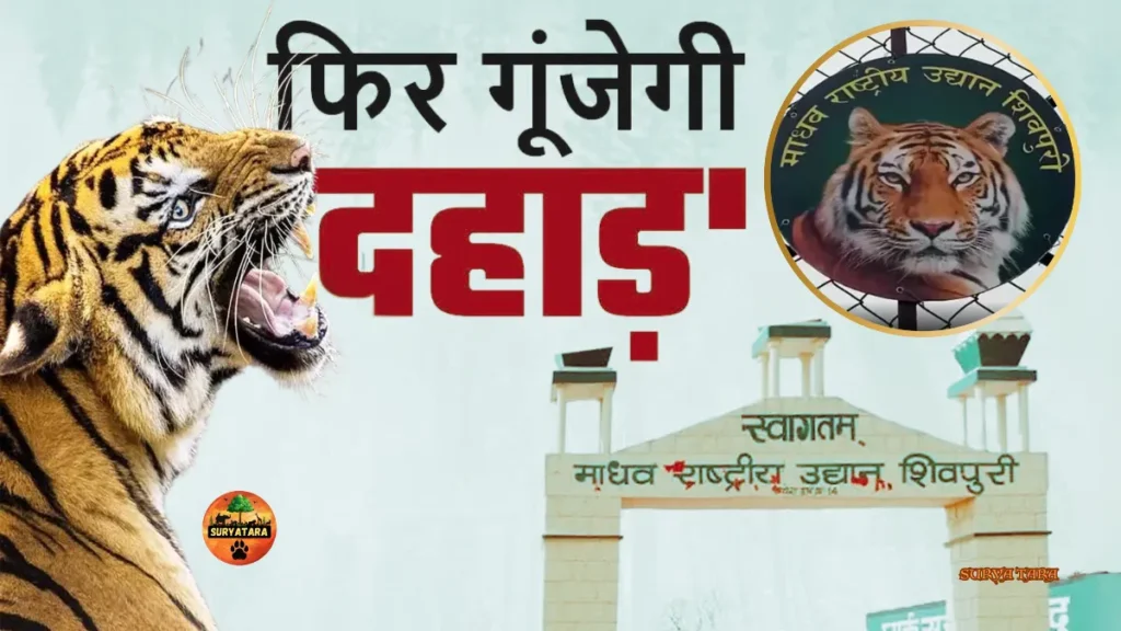 Madhav National Park