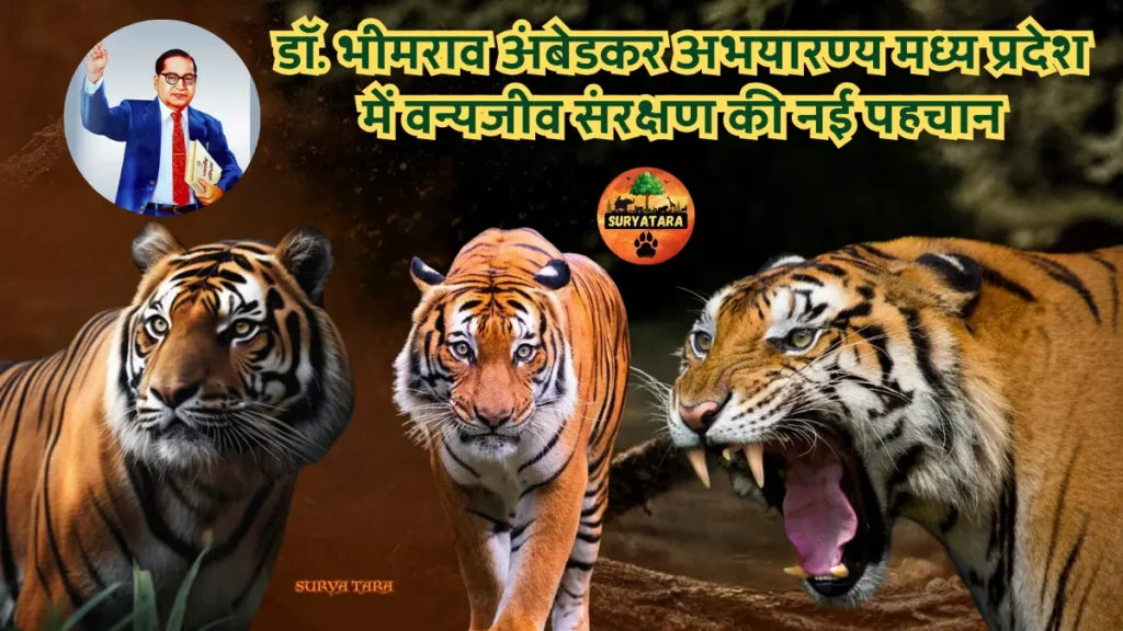 Dr. Bhimrao Ambedkar Sanctuary