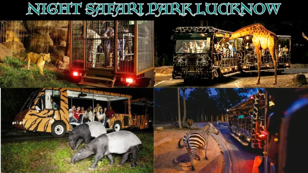 Night safari Park Lucknow