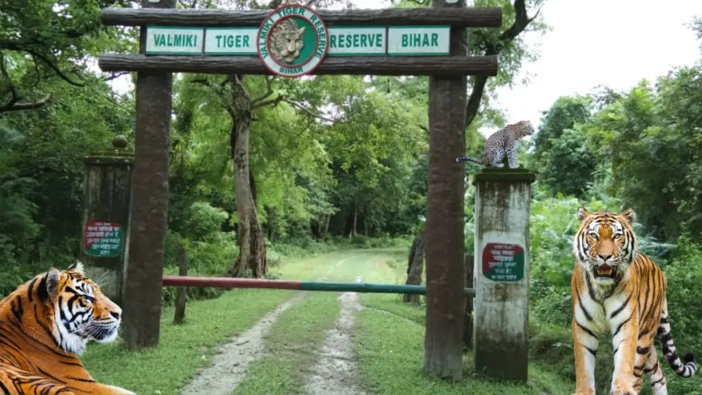 Valmiki Tiger Reserve