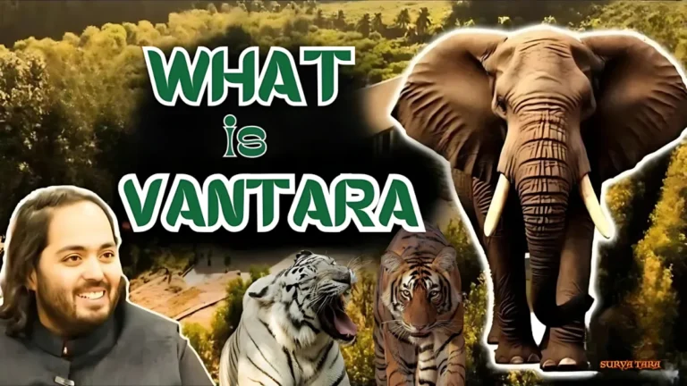 What is Vantara