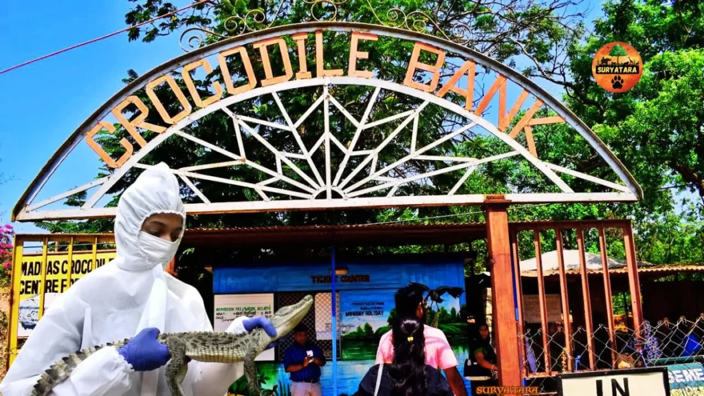 Madras Crocodile Bank Trust