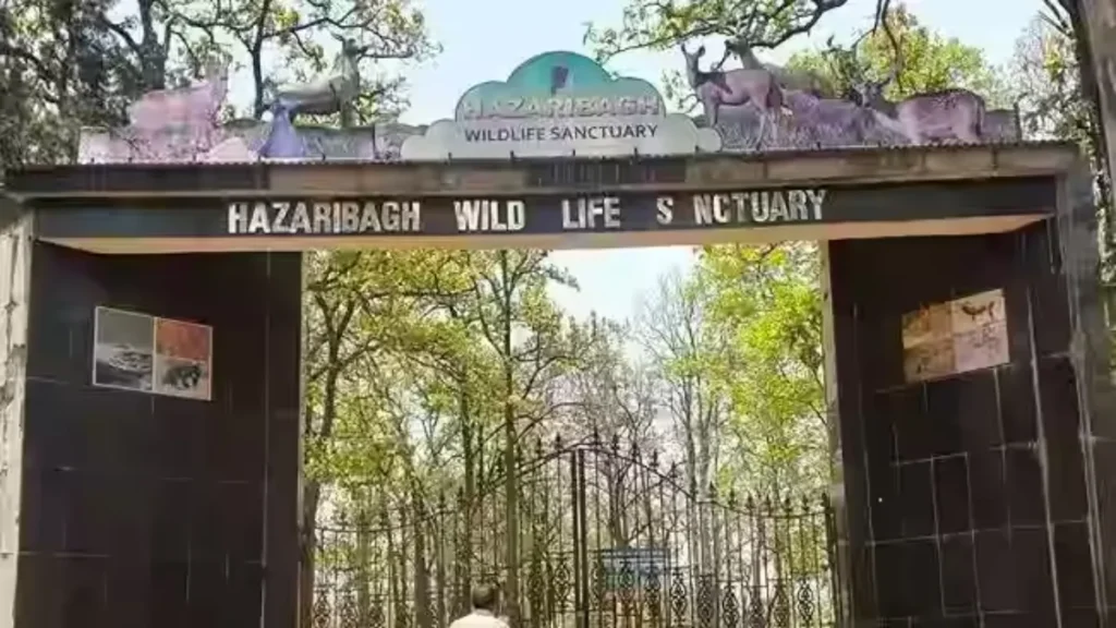 Hazaribagh Wildlife Sanctuary
