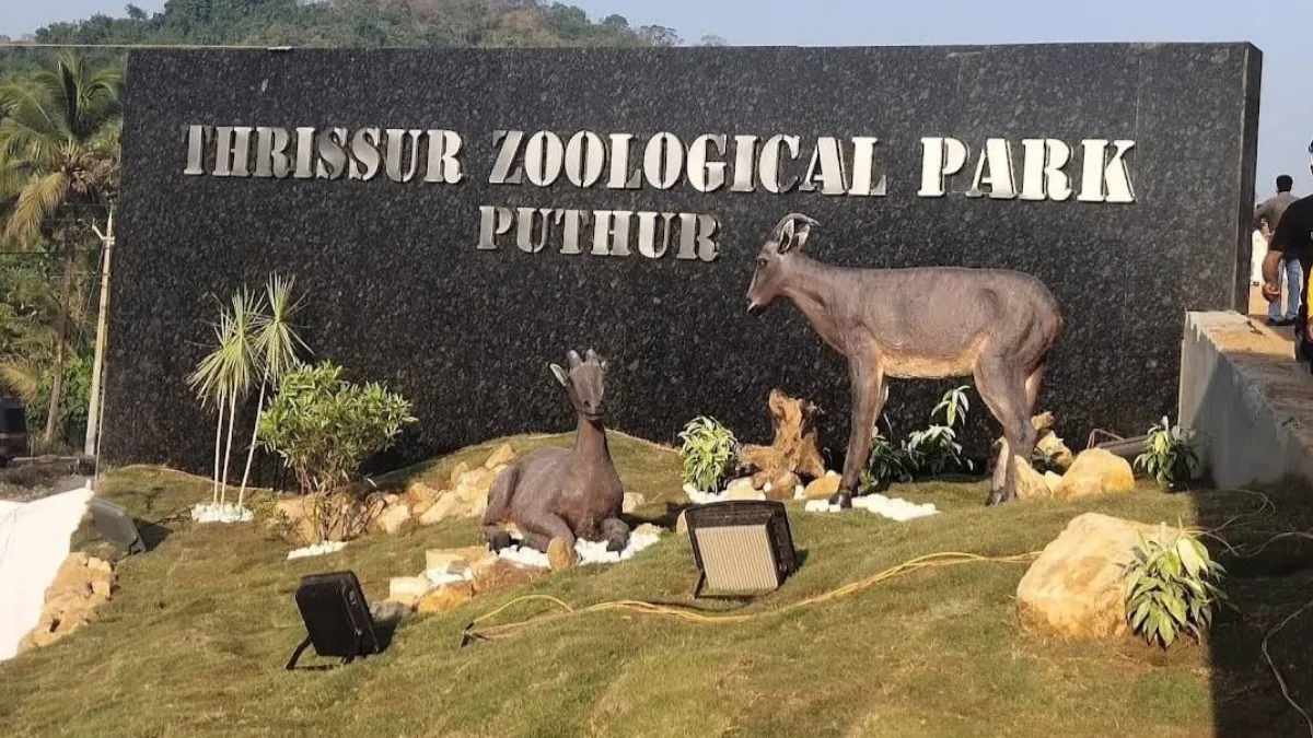 Thrissur Zoo Timings