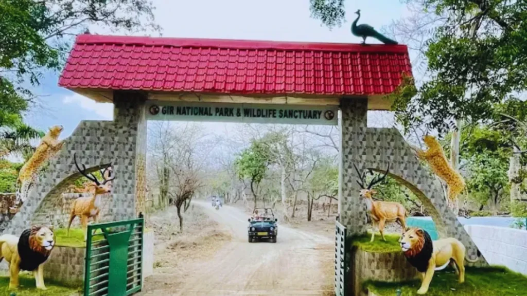 Gir National Park