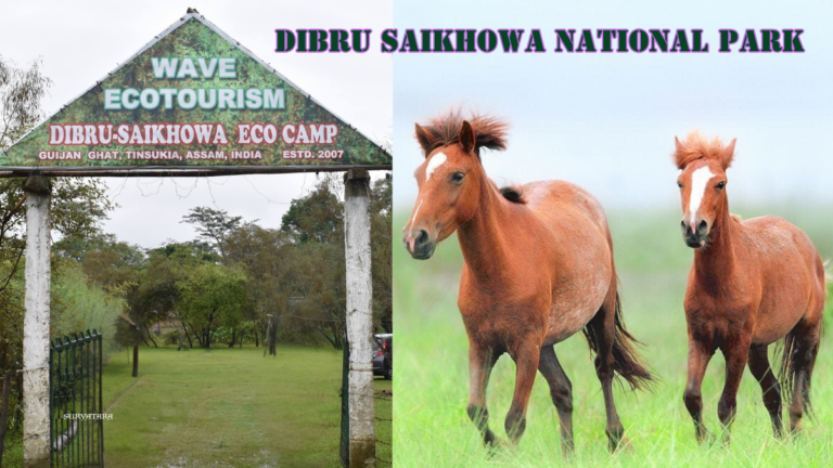 Dibru Saikhowa National Park