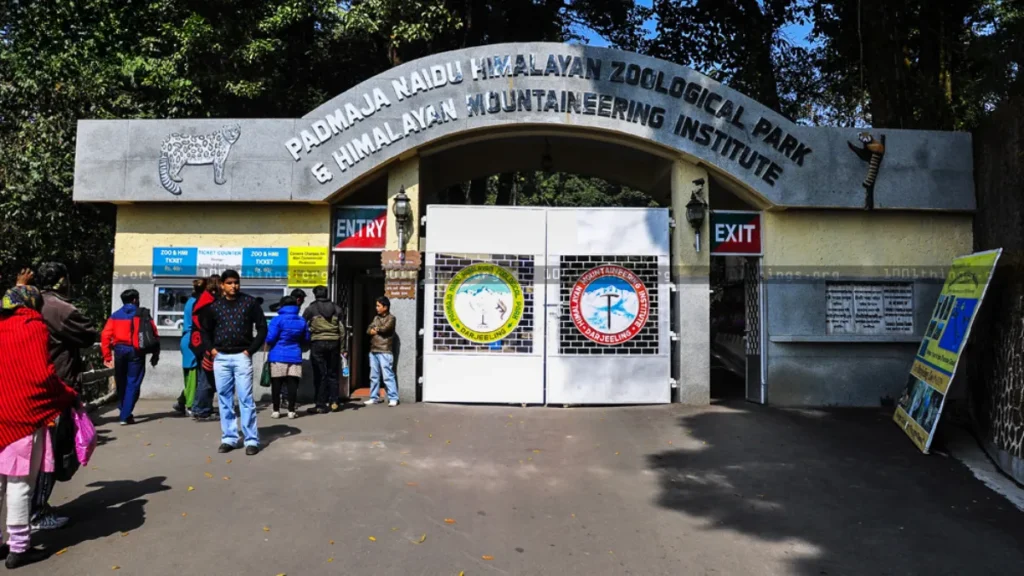Padmaja Naidu Himalayan Zoological Park