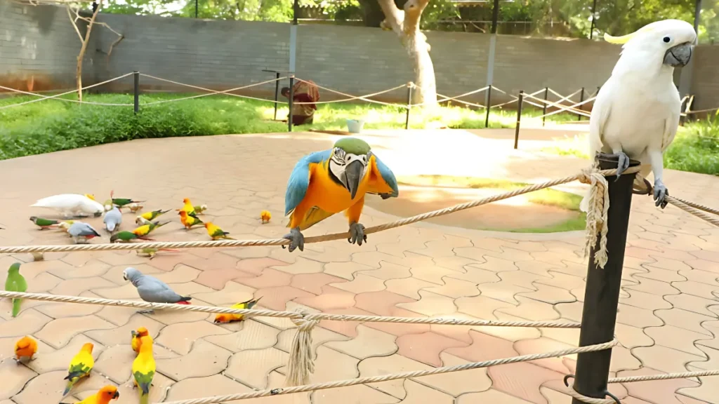 Rajali Bird Park Thanjavur