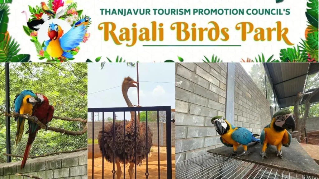 Rajali Birds Park Location