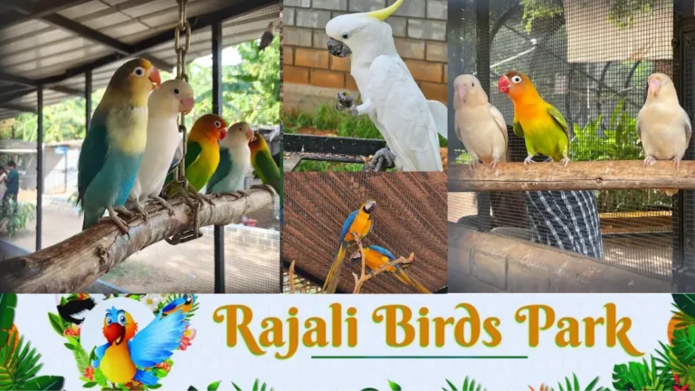 Rajali Birds Park Ticket Price