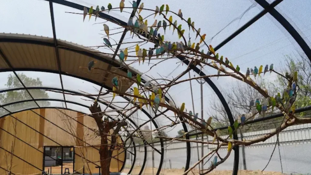 Rajali Birds Park Ticket Price