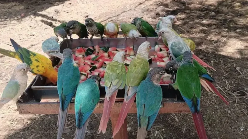 Rajali Birds Park Location