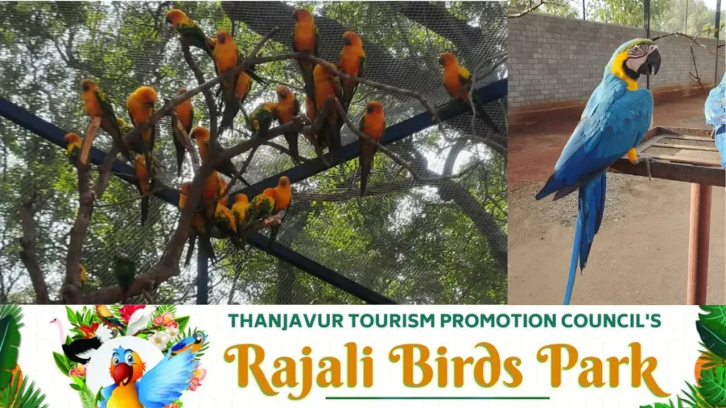 Rajali Bird Park Thanjavur