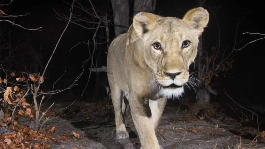 National Zoological Park Delhi