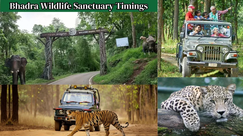 Bhadra Wildlife Sanctuary Timings