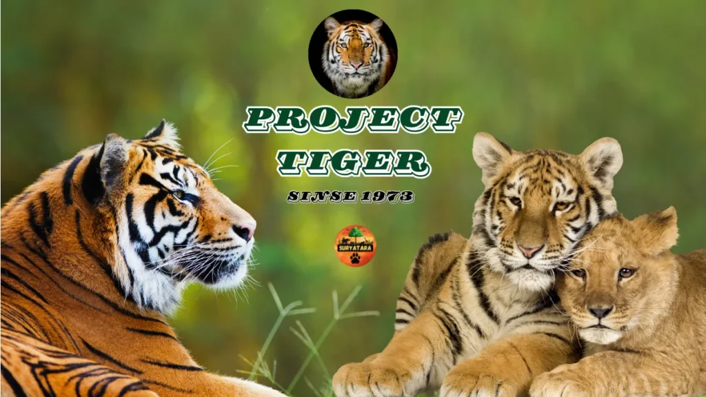 what is project tiger