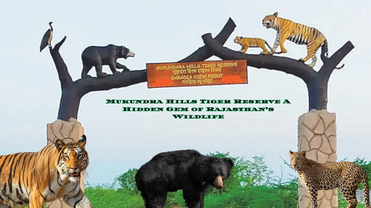 Mukundra Hills Tiger Reserve
