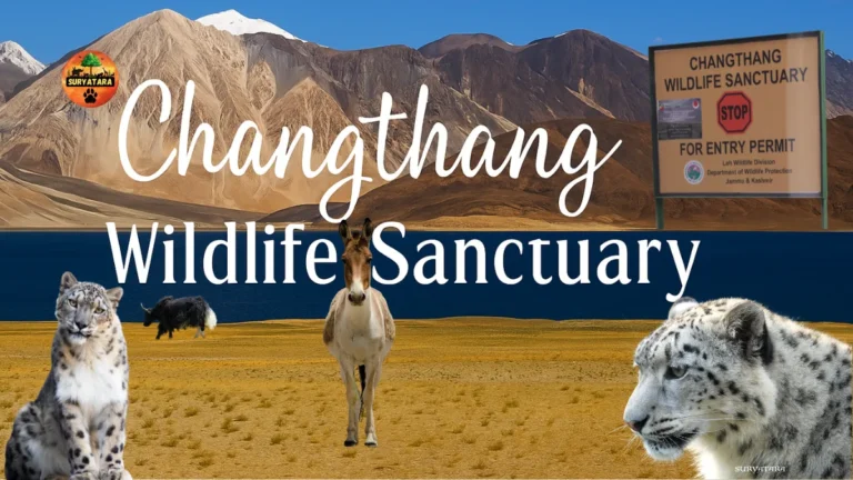 Changthang Wildlife Sanctuary