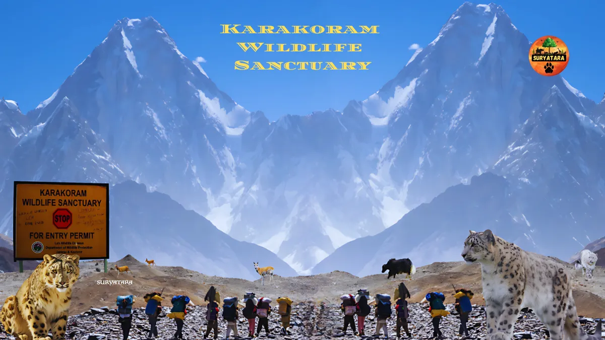 Karakoram Wildlife Sanctuary
