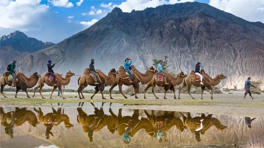 Karakoram Wildlife Sanctuary
