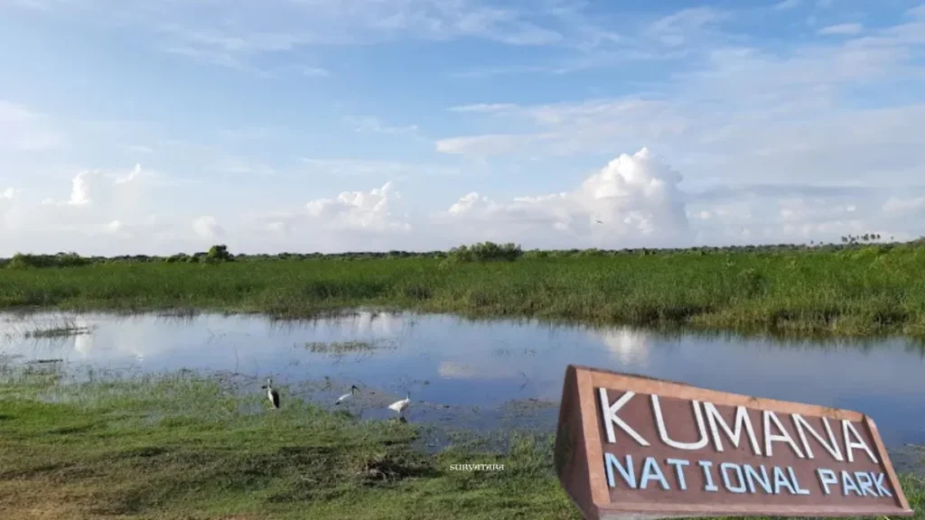 Kumana National Park