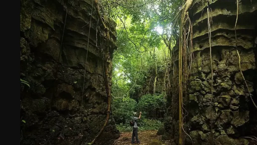 Balpakram National Park is Located