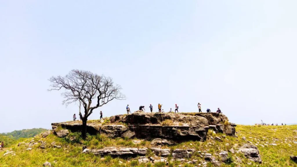 Balpakram National Park is Located