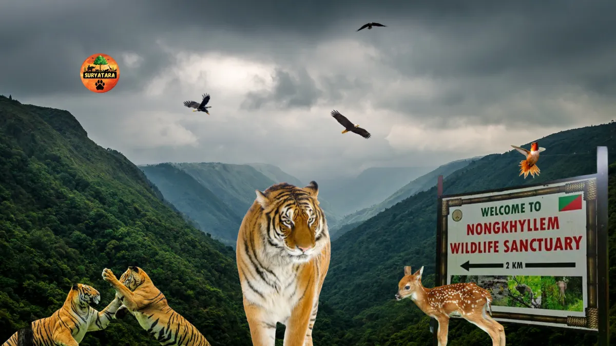 Nongkhyllem Wildlife Sanctuary