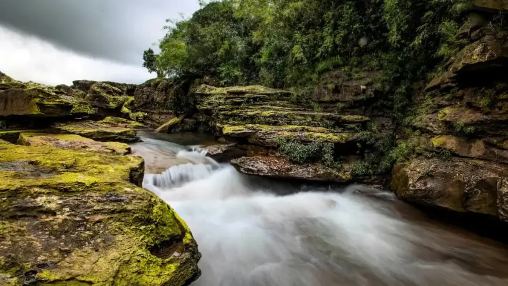 Nongkhyllem Wildlife Sanctuary