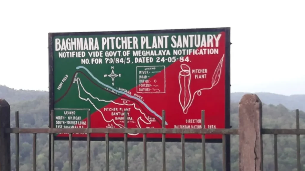 Baghmara Pitcher Plant Wildlife Sanctuary