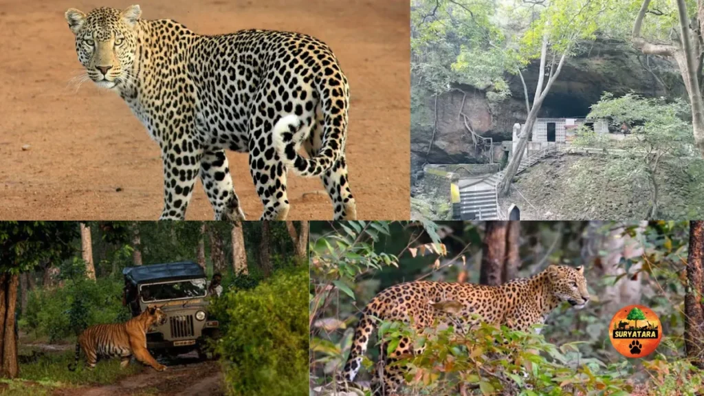 Katepurna Wildlife Sanctuary